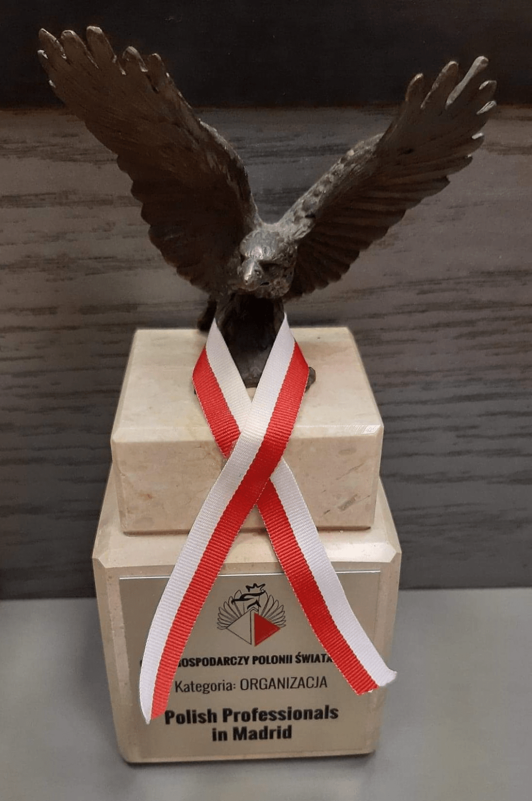 PPM reconocido con el prestigioso premio de «Águila Económica de la Comunidad Polaca del Mundo» en la categoría «Organización»